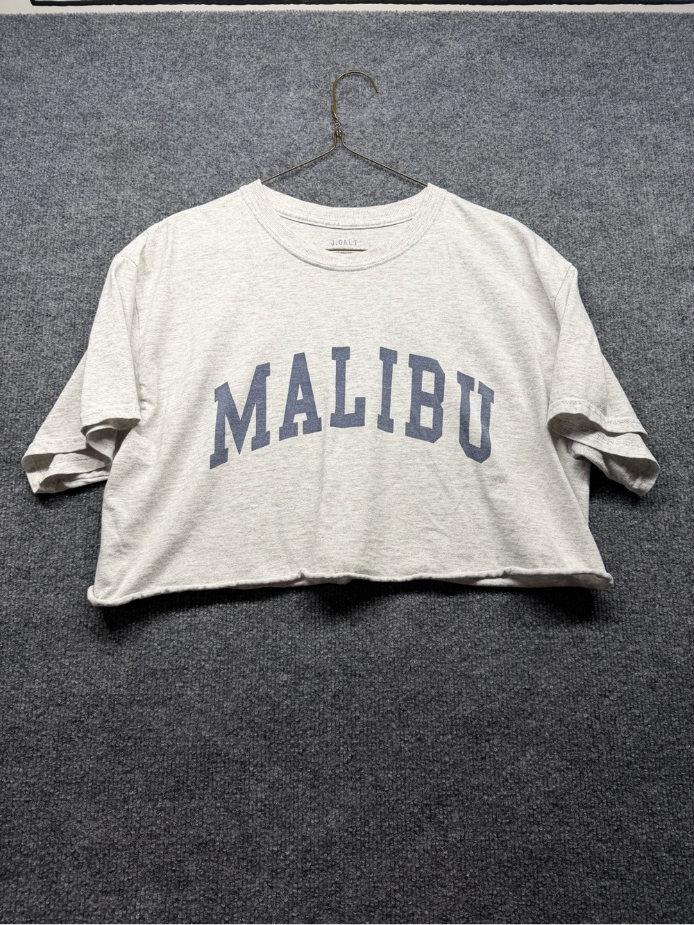 Brandy Melville Light Gray Malibu Cropped Tee with Blue Lettering